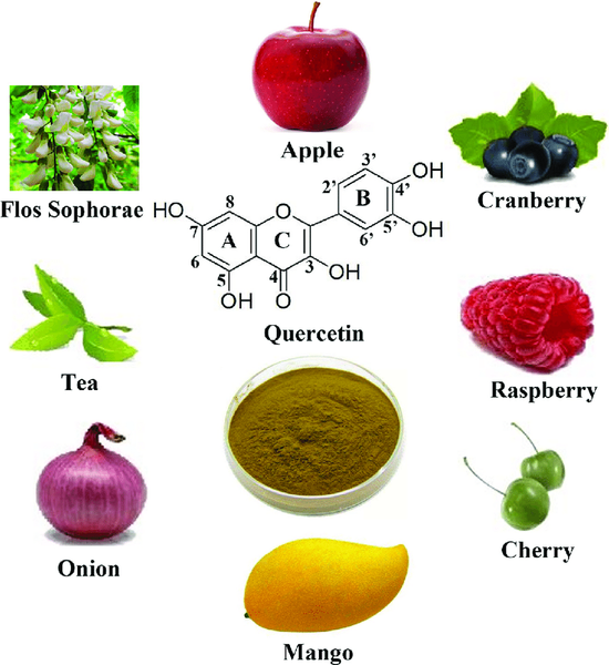 Quercetin: A Functional Dietary Flavonoid